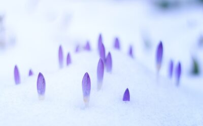 March 2023: Astrological Events + Tarot Reading Ideas
