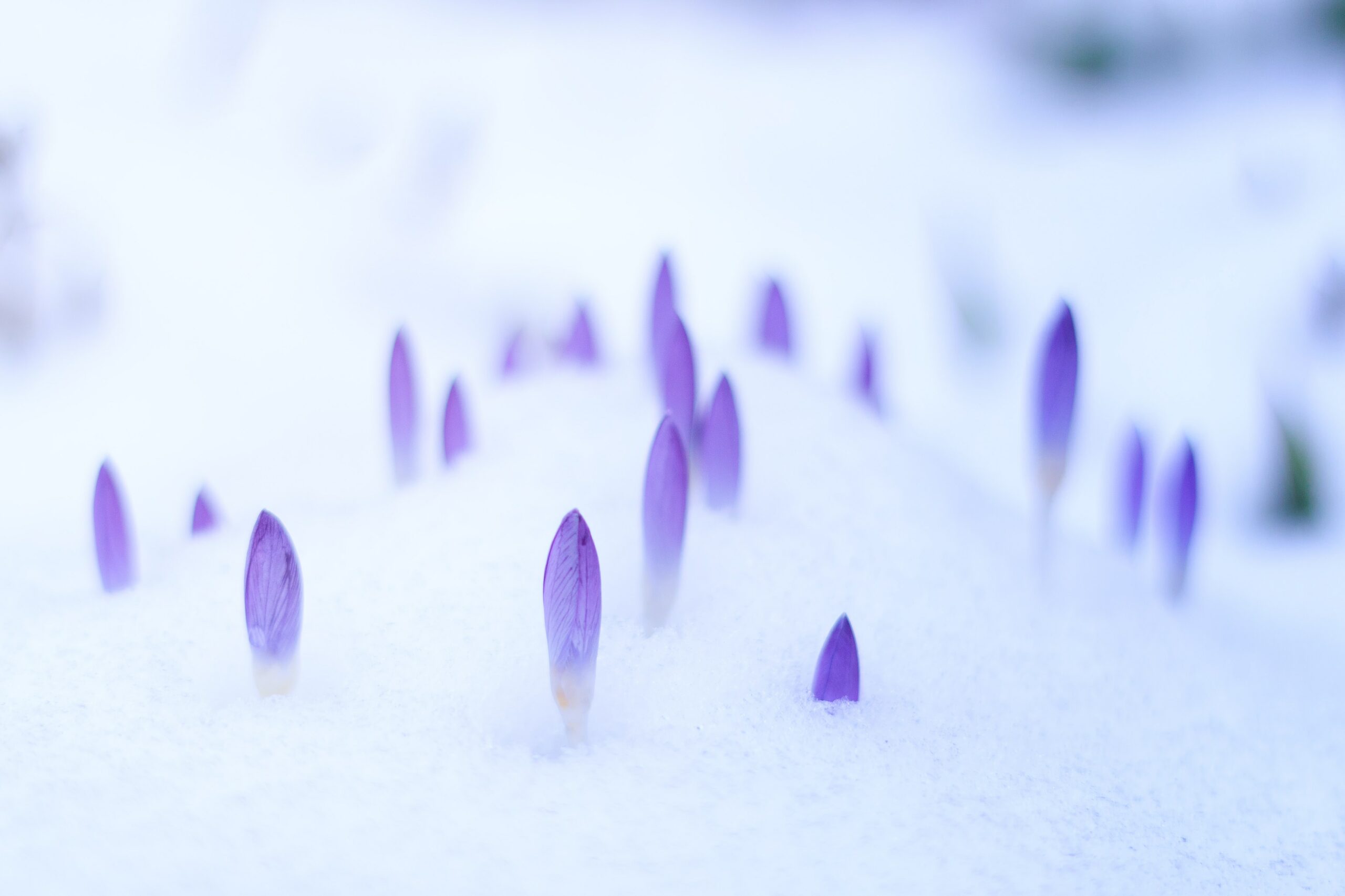 March