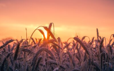 September 2023: Astrological Events + Tarot Reading