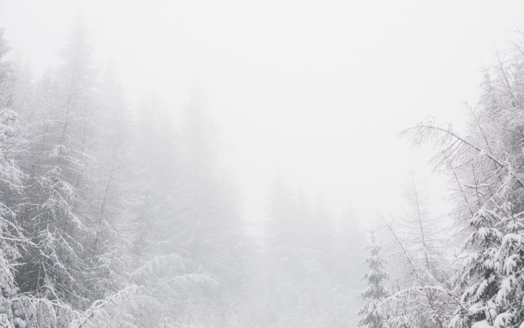 December 2023: Astrological Events + Tarot Reading