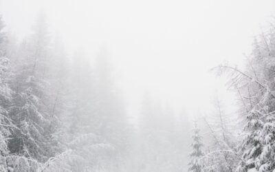 December 2023: Astrological Events + Tarot Reading