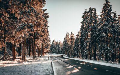 February 2023: Astrological Events + Corresponding Tarot Ideas