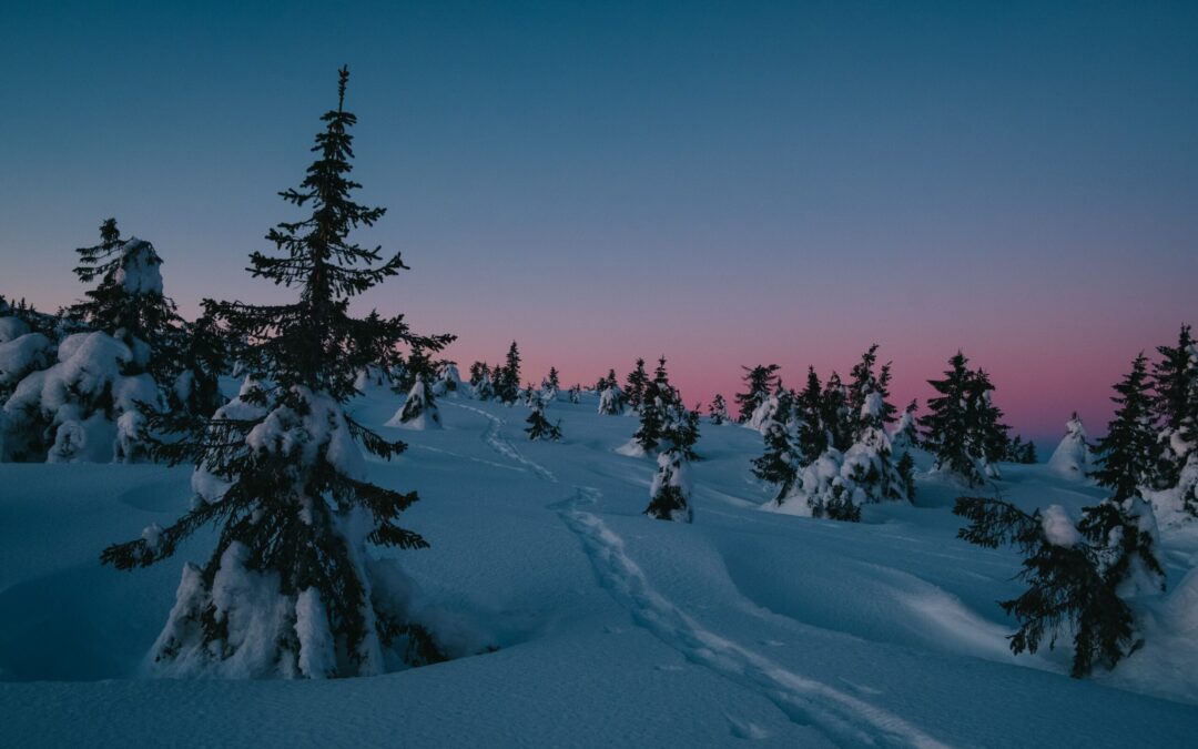 January 2023: Astrological Events + Tarot Reading
