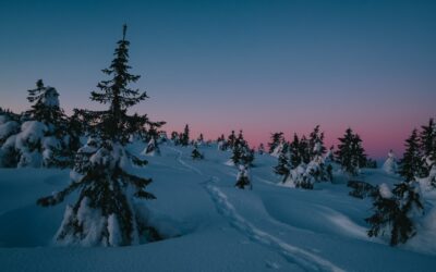 January 2023: Astrological Events + Tarot Reading