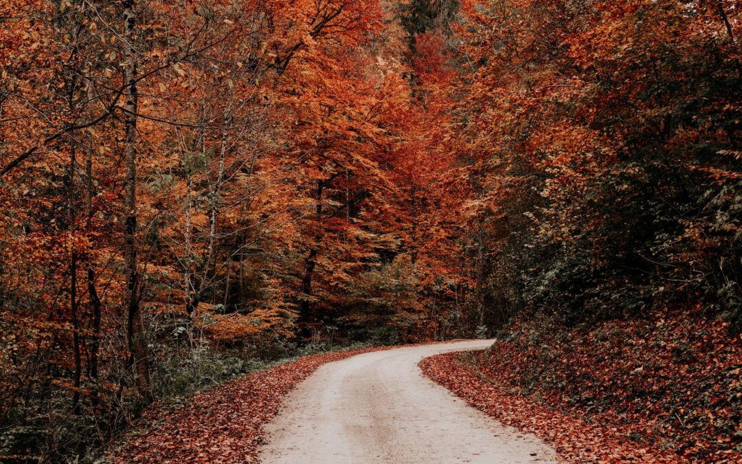 October 2023: Astrological Events + Tarot Reading 
