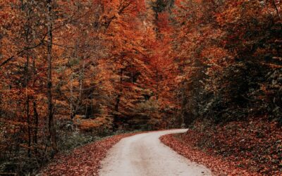 October 2023: Astrological Events + Tarot Reading 